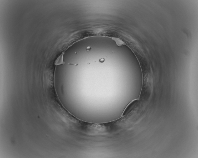 X0000111530421200907141532