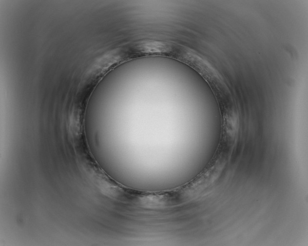 X0000111530422200907141532