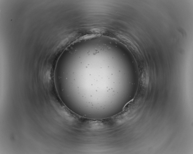 X0000111530424200907141532