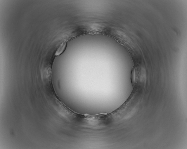 X0000111530425200907141532