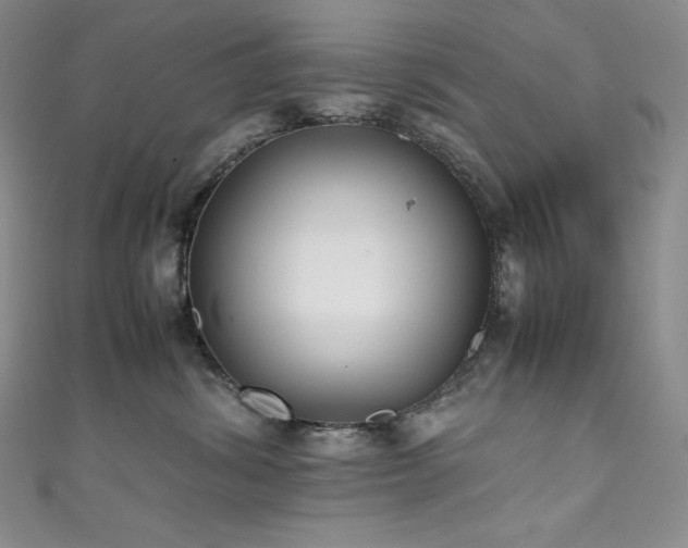 X0000111530428200907141532