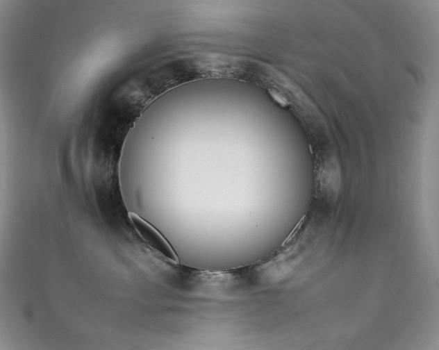 X0000111530429200907141532