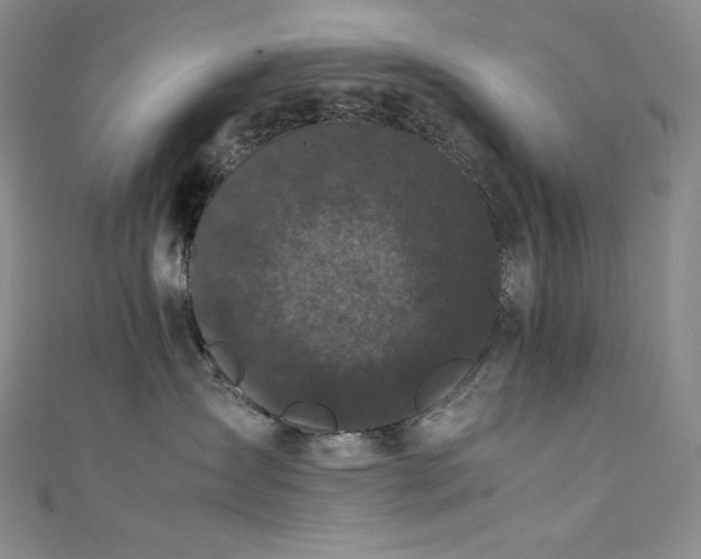 X0000111530431200907141532