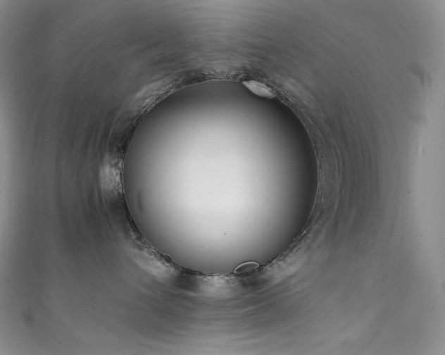 X0000111530432200907141532