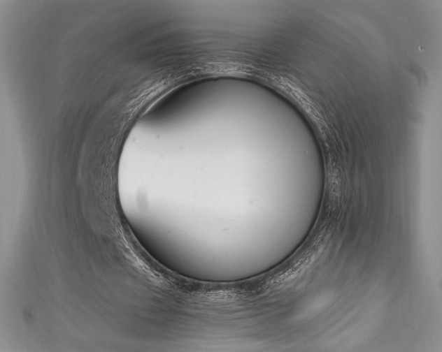 X0000111530433200907141531