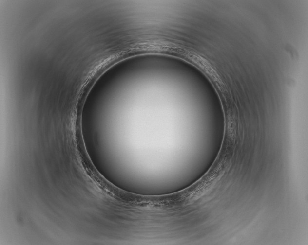 X0000111530434200907141531