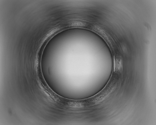 X0000111530435200907141531