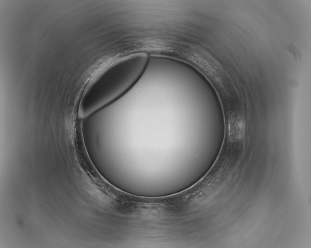 X0000111530436200907141531