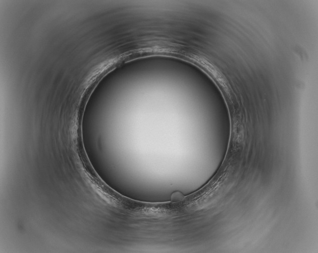 X0000111530437200907141531