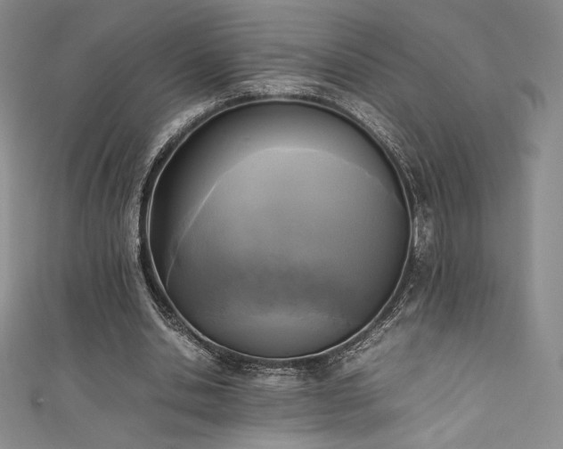 X0000111530438200907141531