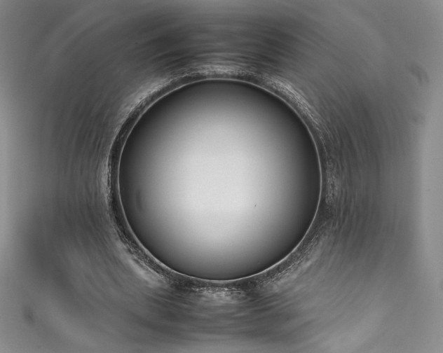 X0000111530439200907141531