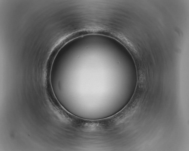 X0000111530440200907141531