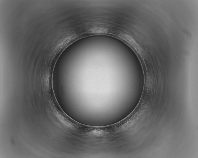 X0000111530441200907141531