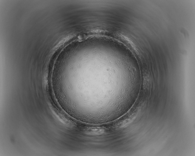 X0000111530443200907141531