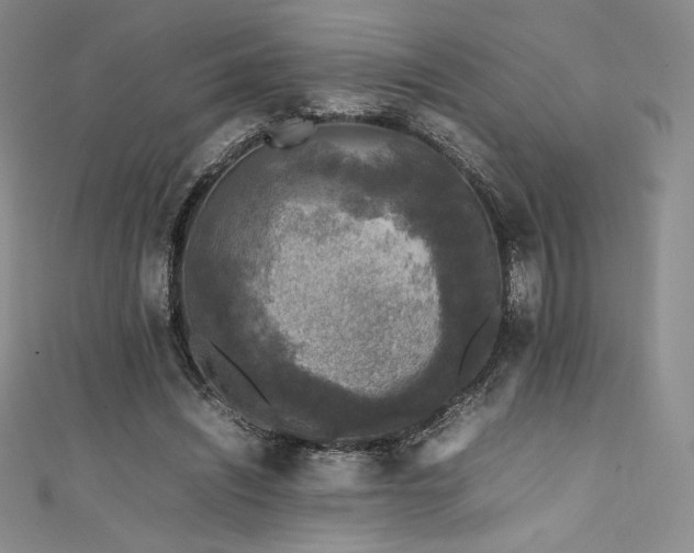 X0000111530444200907141531