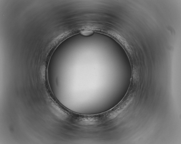 X0000111530445200907141531