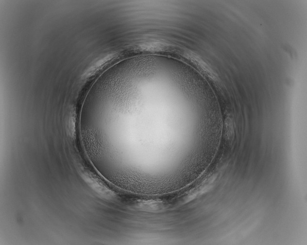 X0000111530446200907141531