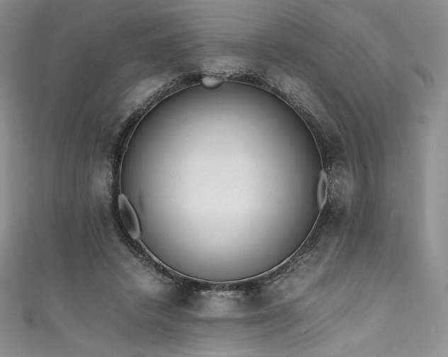 X0000111530448200907141531