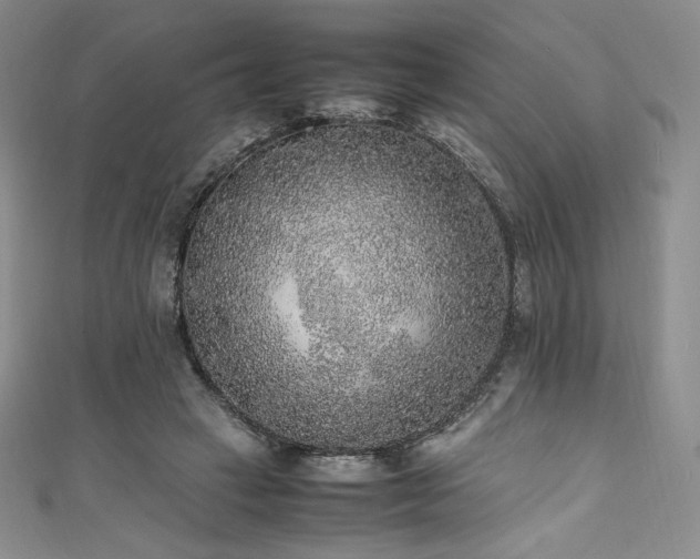 X0000111530449200907141531