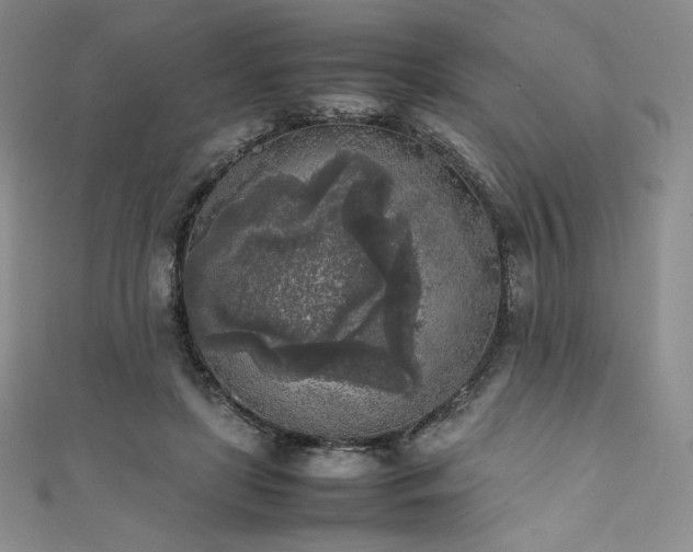 X0000111530451200907141531