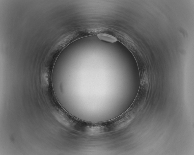 X0000111530452200907141531