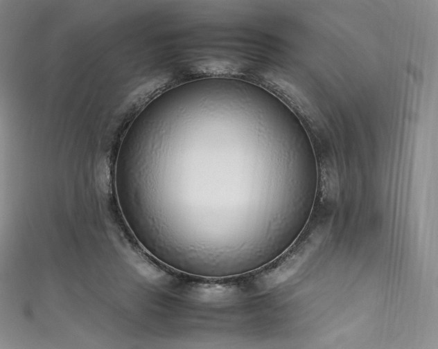 X0000111530453200907141531