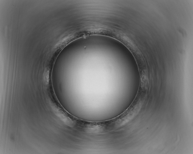 X0000111530454200907141531