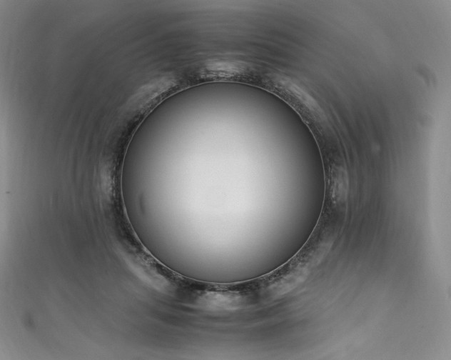 X0000111530455200907141531