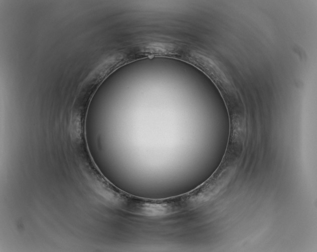 X0000111530457200907141531