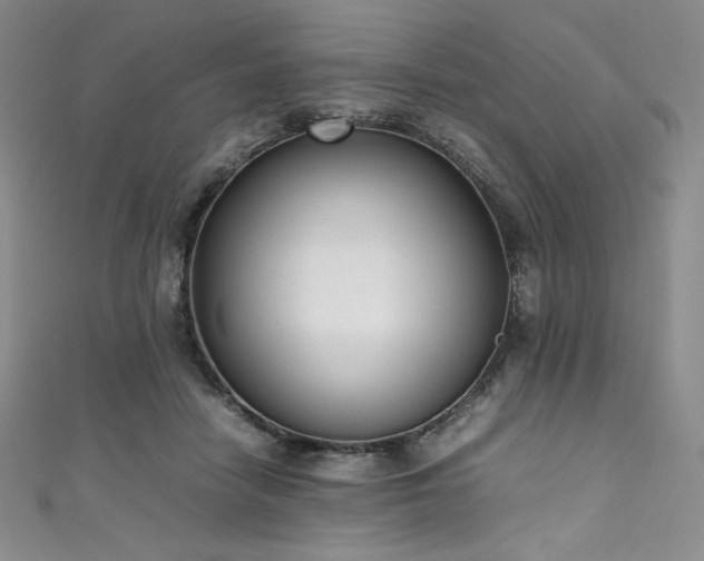 X0000111530458200907141531