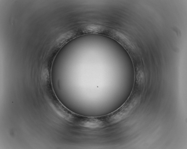 X0000111530459200907141531