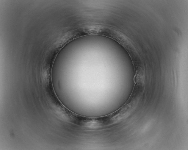 X0000111530460200907141531