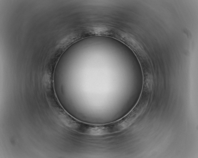 X0000111530461200907141531