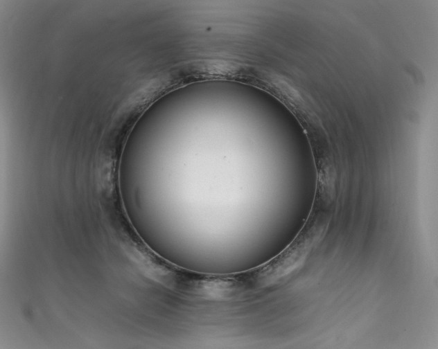 X0000111530462200907141531