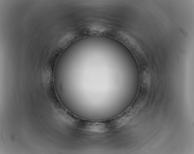 X0000111530463200907141531