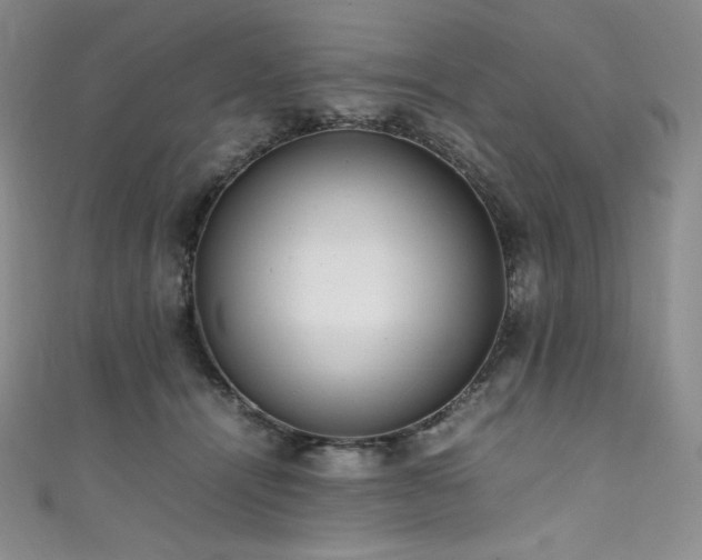 X0000111530464200907141531