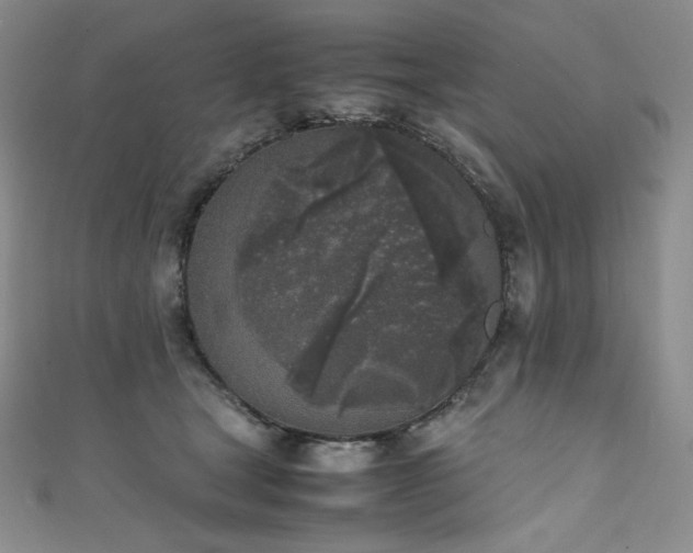 X0000111530465200907141531