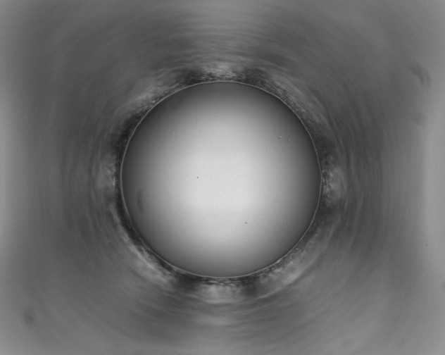 X0000111530466200907141531