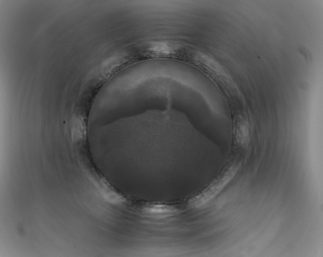 X0000111530467200907141531