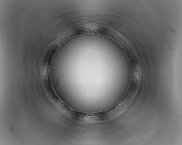 X0000111530468200907141531