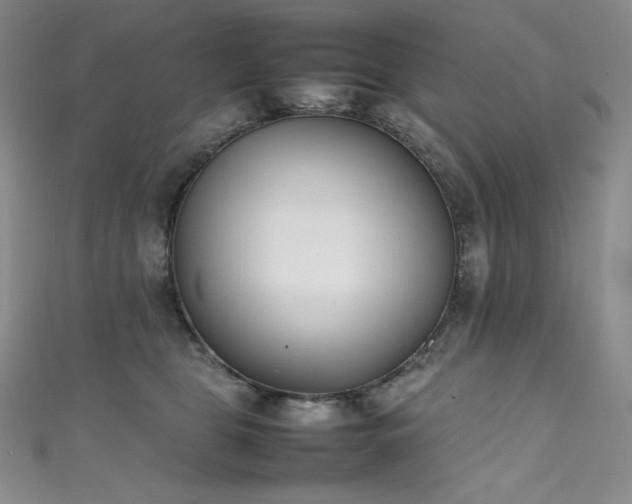 X0000111530469200907141531