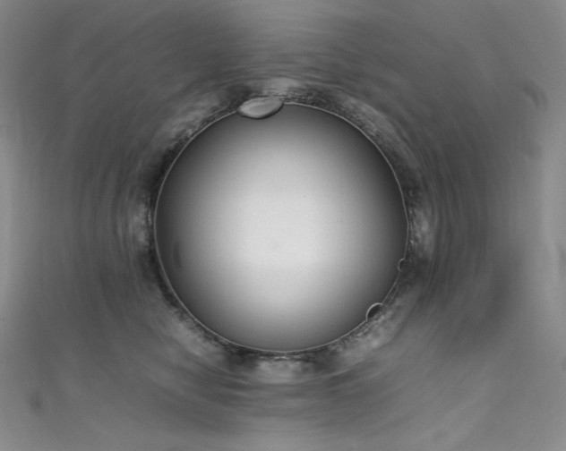 X0000111530470200907141532