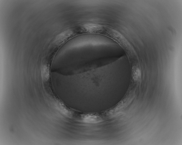 X0000111530471200907141532