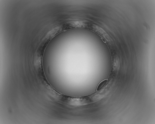 X0000111530473200907141532