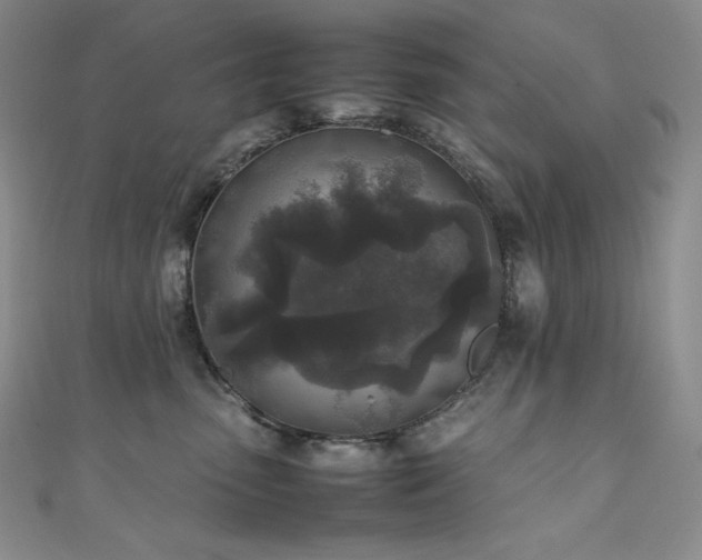 X0000111530475200907141532