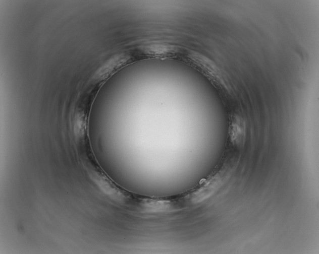 X0000111530476200907141532