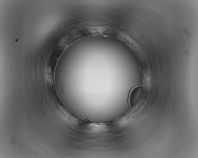 X0000111530477200907141532