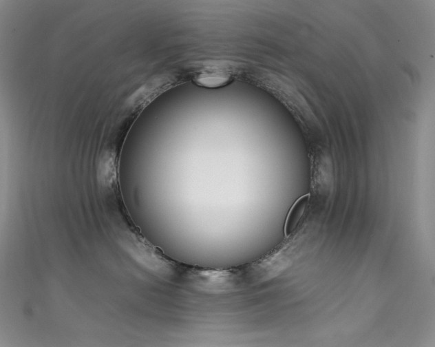 X0000111530478200907141532