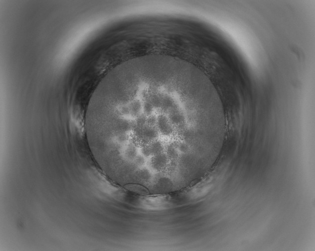 X0000111530479200907141532