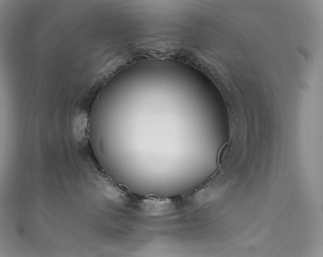 X0000111530480200907141532